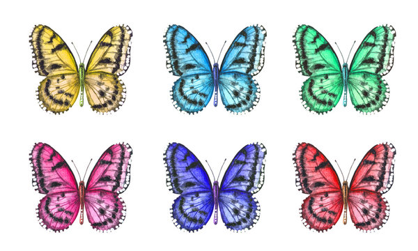 Set of watercolor illustrations depicting yellow, blue, green, pink, purple and red butterflies isolated on a white background, hand-painted