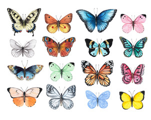 Set of watercolor illustrations depicting bright butterflies isolated on a white background, hand-painted