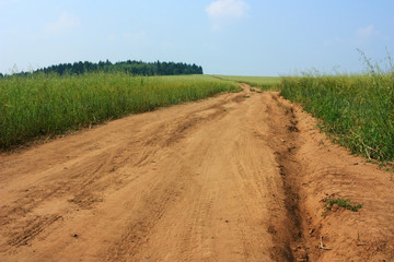 Dirt road in a wheat field