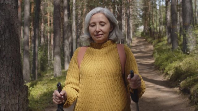Medium shot of elderly active Caucasian woman wearing warm clothes practicing Nordic walk with ski poles in forest