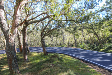 Détente à la Réunion