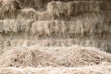 heap of rice straw hay in farm
