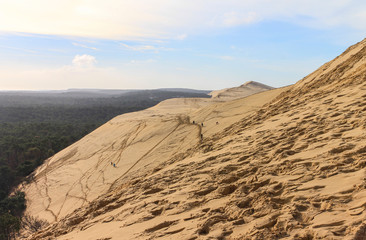 Fototapeta na wymiar Dune du Pila
