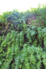 Détente sur l'île de la Réunion