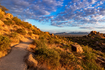 Early Morning Skies Along Desert Hiking Trail In Scottsdale, AZ
