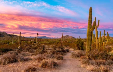 Foto op Canvas Levendige zonsondergang bij Browns Ranch in Scottsdale AZ © Ray Redstone