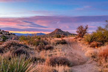 Desert Sunset Skies Along Hiking Trail  © Ray Redstone