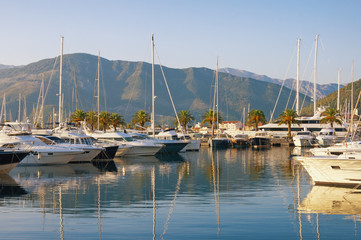 Fototapeta na wymiar Yacht marina of Porto Montenegro on sunny autumn day. Montenegro, Adriatic Sea, Bay of Kotor, Tivat city