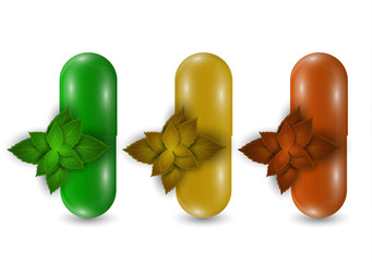 Set. Closeup of capsule pill icon and natural mint leaves. Medical isolated on a white background. Design template for graphics, layout. The concept of medicine and healthcare.