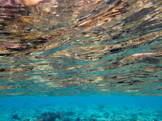 Fototapeta na wymiar underwater world of the red sea, water glare
