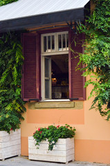 Fototapeta na wymiar cozy city window with plants and box gardening around