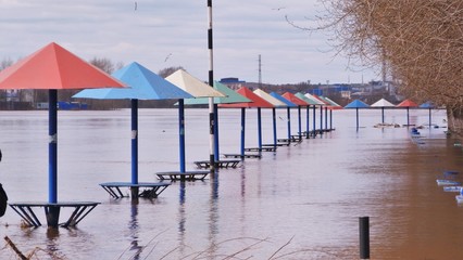 umbrellas on the beach
