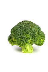 Close-up view of One Fresh raw green broccoli isolated on pure white background
