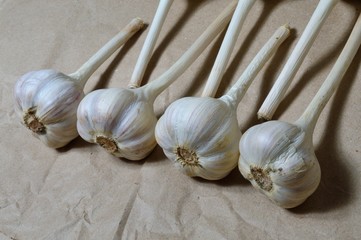 garlic on crumpled craft paper