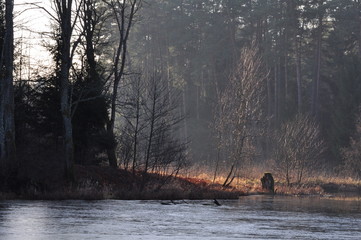 Rzeka