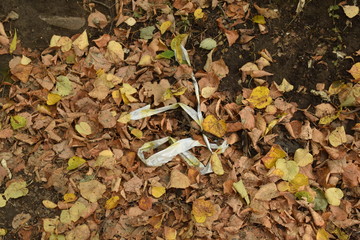 no plastic. Plastic products in the forest