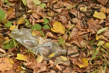 no plastic. Plastic products in the forest
