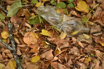 no plastic. Plastic products in the forest