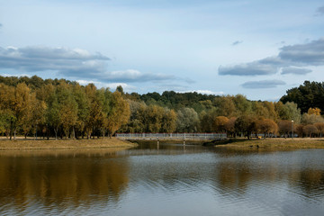 Fototapeta na wymiar Autumn park, trees and alleys, a lake and a small bridge.