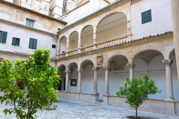 Fototapeta na wymiar Courtyard of Palma Cathedral in Palma de Mallorca