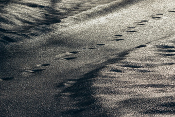 Light , shadows and animal tracks in a trail covered with icy snow in winter
