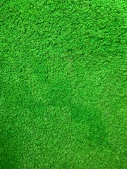 Moss Wall 