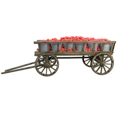 Fototapeta premium Ripe tomatoes in a wooden cart