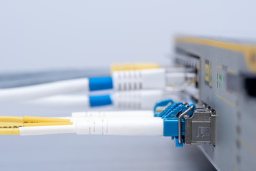 Switch with connected optical fiber patch cords and UTP ethernet cables