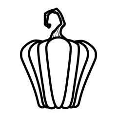 halloween pumpkin fruit seasonal icon