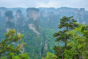 Zhangjiajie mountains, China