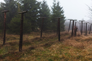 Obraz premium Barbwire fence. Part of the czech german borderline in the middle of a foest on a grey and foggy autumn morning.