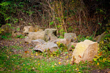 Stones lie on the ground in the autumn forest