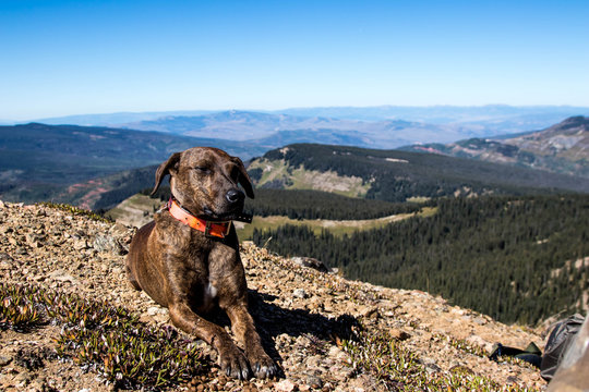 Vail Mountain Hike