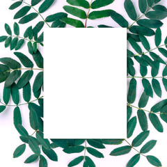 Flat lay top view of composition with branches and white paper page for copy space. Minimal autumn concept for your text or design on white background
