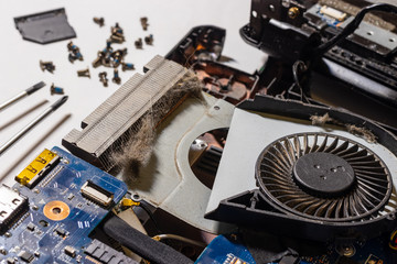 Contamination of the cooler at the laptop cat hair. The fan is covered with dust, the radiator is...