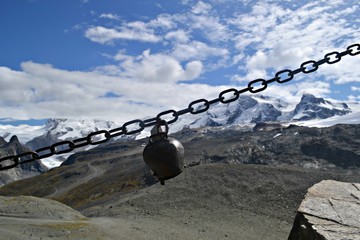 Alpejski dzwonek, Zermatt © Marta
