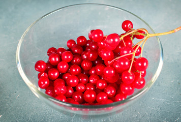 Viburnum in a glass plate, close up
