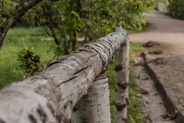 Textured fence made of birch branches