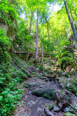 Fototapeta premium Steinbachklamm i Myrafaelle w Dolnej Austrii