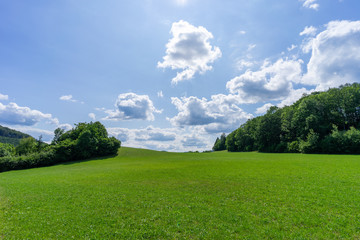 Obraz premium Green Field and Blue Sky