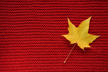 Maple yellow dry leaf on red color wool knitted background. Top view. Copy space	