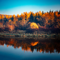 Obraz premium Riverside in autumn colors , Vivid morning in colorful forest with sun on trees. Scenery of nature with sunlight, autumn forest.