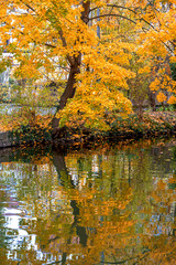 Herbstidylle am Ludwigskanal in Bamberg
