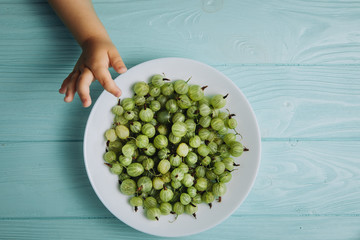 Food photography. Gooseberries in a white plate