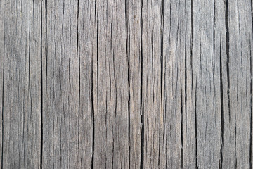 Old cracked wood log texture. Natural grey wooden background