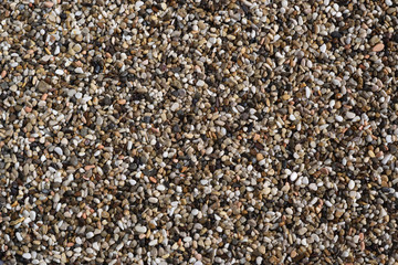Wet aquarium sand texture background.  Small pea pebbles gravel grains. Close up view from the top