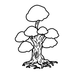 tree plant nature isolated icon