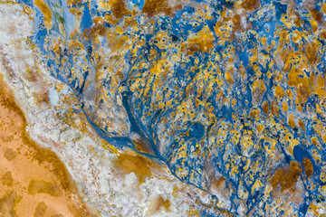 Abstract nature pattern of blue and yellow colors