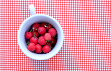 red berries in a coffee cup on a red stripped background