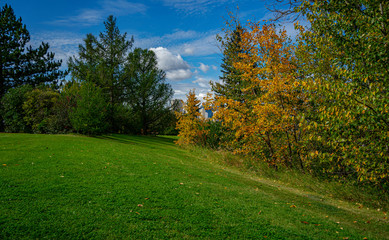 Early fall in urban park. Edmonton, Alberta, Canada.